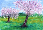 Almond Tree / Mandelbaum