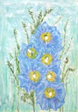 Blue Poppy / Blauer Mohn