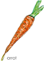 carrot