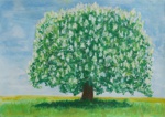 Chestnut Tree / Kastanienbaum