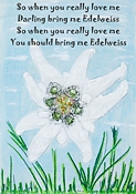 Funshirt: So when you really love me - Darling bring me Edelweiss - So when you really love me - You should bring me Edelweiss