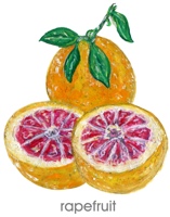 grapefruit