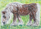 Grasendes Zugpferd / Grazing Draught Horse