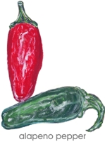 jalapeno pepper