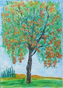 Orange Tree / Orangenbaum