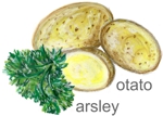 parsley / potato - Petersilie / Kartoffeln