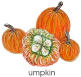 pumpkin