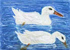 Two ducks bathing in a pond / Zwei badende Enten im Teich