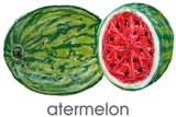 watermelon