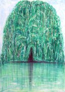 Weeping Willow / Trauerweide