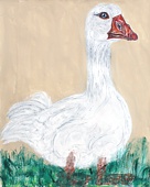 Weiße Gans / White Goose